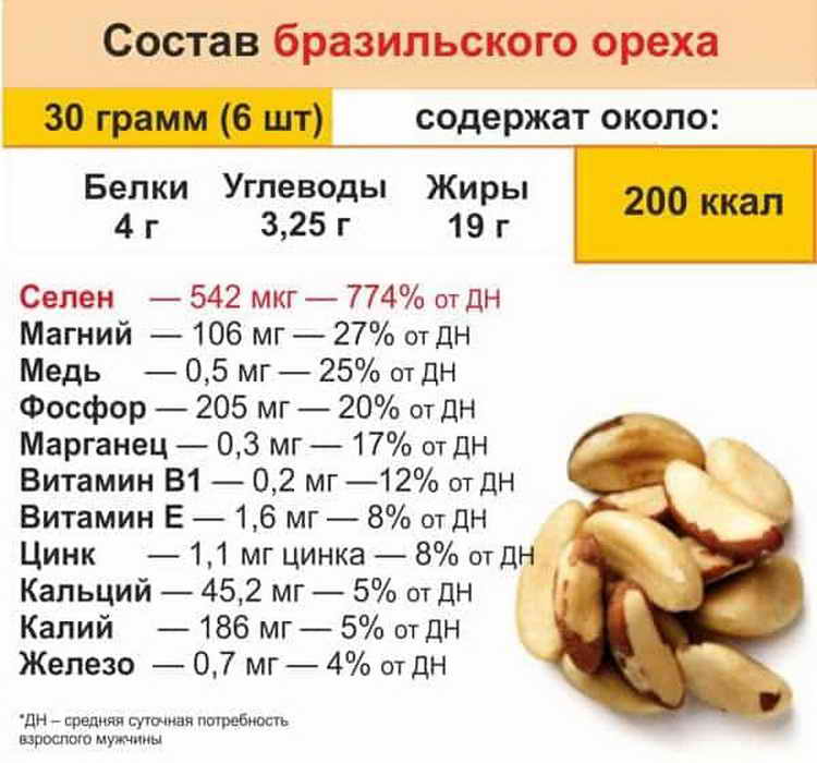 какой орех самый питательный