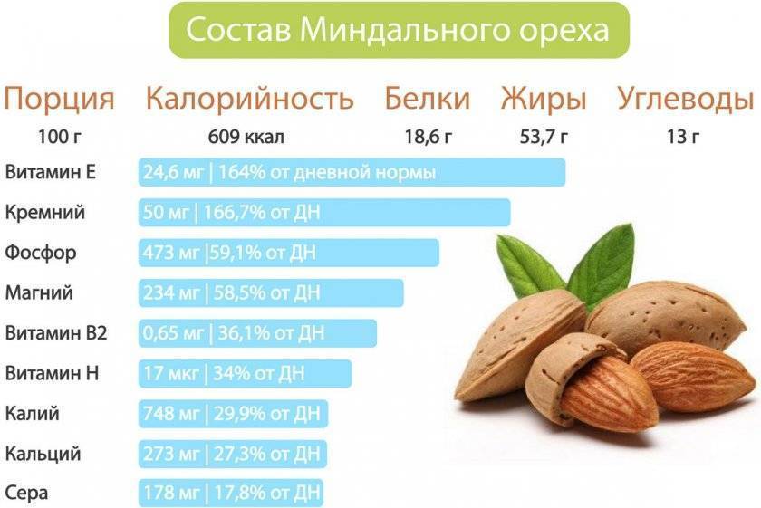 какой орех самый питательный